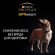 Сухой корм Purina Pro Plan Opti Weight для стерилизованных взрослых собак всех пород склонных к избыточному весу, с курицей