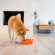 Миска Outward Hound "Водоворот" для собак для медленного поедания, оранжевая