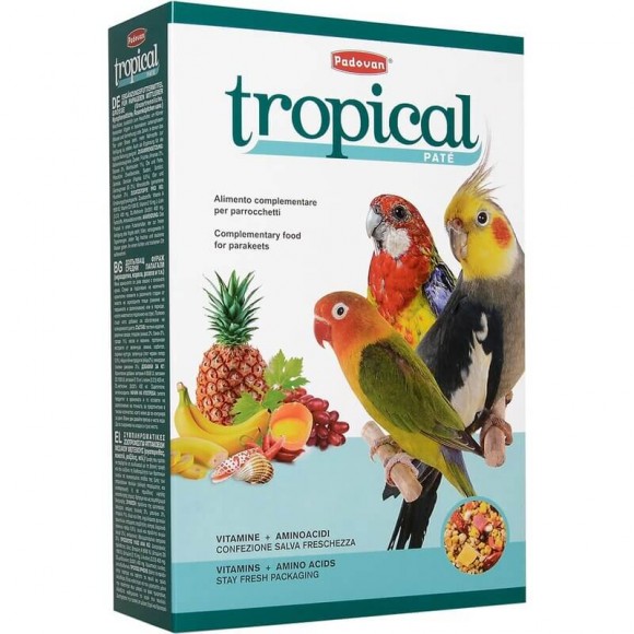 Корм Padovan Tropical Patee комплексный фруктовый для средних попугаев