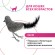 Игрушка Pet Park Птичка с перьями для кошек, 25 см серая