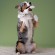 Игрушка Mr.Kranch Косточка для собак мелких и средних пород с канатом 31х9х4см, бежево-пятнистая