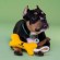 Игрушка Mr.Kranch Косточка для собак мелких и средних пород с канатом 31х9х4см, желтая