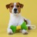 Игрушка Mr.Kranch Косточка для собак мелких и средних пород с канатом 31х9х4см, зеленая с желтым