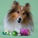 Игрушка Mr.Kranch Роза для собак мелких и средних пород с канатом 29х5х5см, розовая