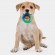 Игрушка Petstages ОРКА кольцо - растем вместе для собак мультиповерхность 15 см