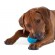 Игрушка Petstages ОРКА теннисный мяч для собак 6 см