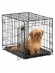 Клетка MidWest iCrate для собак 61х46х48h см 1 дверь черная