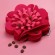 Нюхательная игрушка Mr.Kranch Цветок для собак, 20см, розовый
