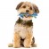 Игрушка Petstages Mini ОРКА Дентал набор для собак 15 см