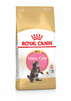 Корм Royal Canin Maine Coon Kitten для котят породы мейн кун
